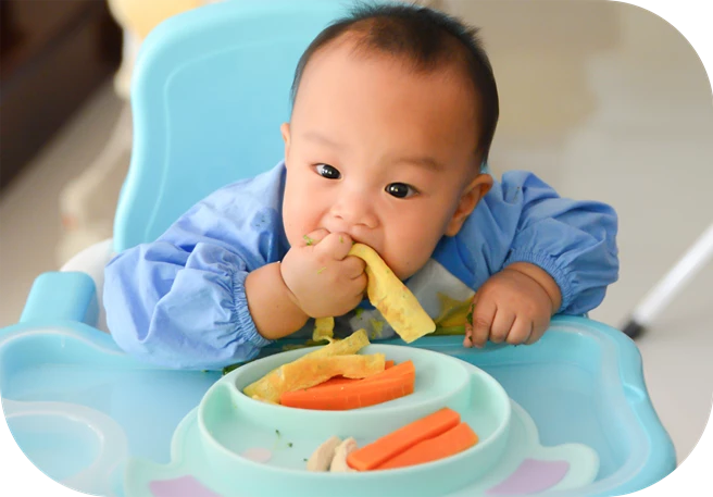 alimentar a tu hijo de 1 año alimentar a tu hijo de 1 año
