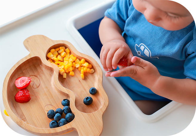 Alimentación complementaria en bebés